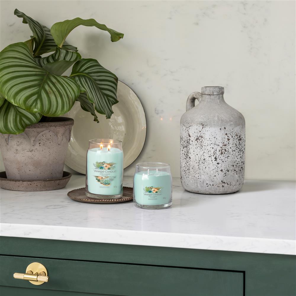 Aloe & Agave Signature Medium Jar – Image 2