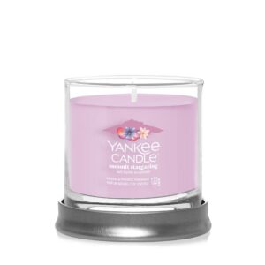 Summit Stargazing Signature Small Tumbler