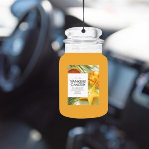 Starfruit & Sunshine Car Jars Karton