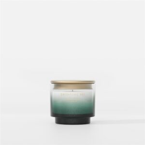 Coastal Snowfall Small Tumbler