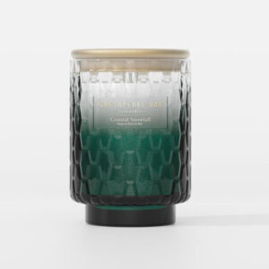 Coastal Snowfall Medium Tumbler