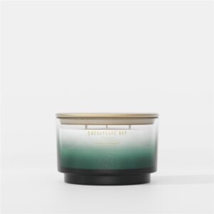 Coastal Snowfall 3-Wick Tumbler