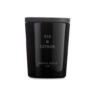 Fig & Citrus Premium Small Candle 70g