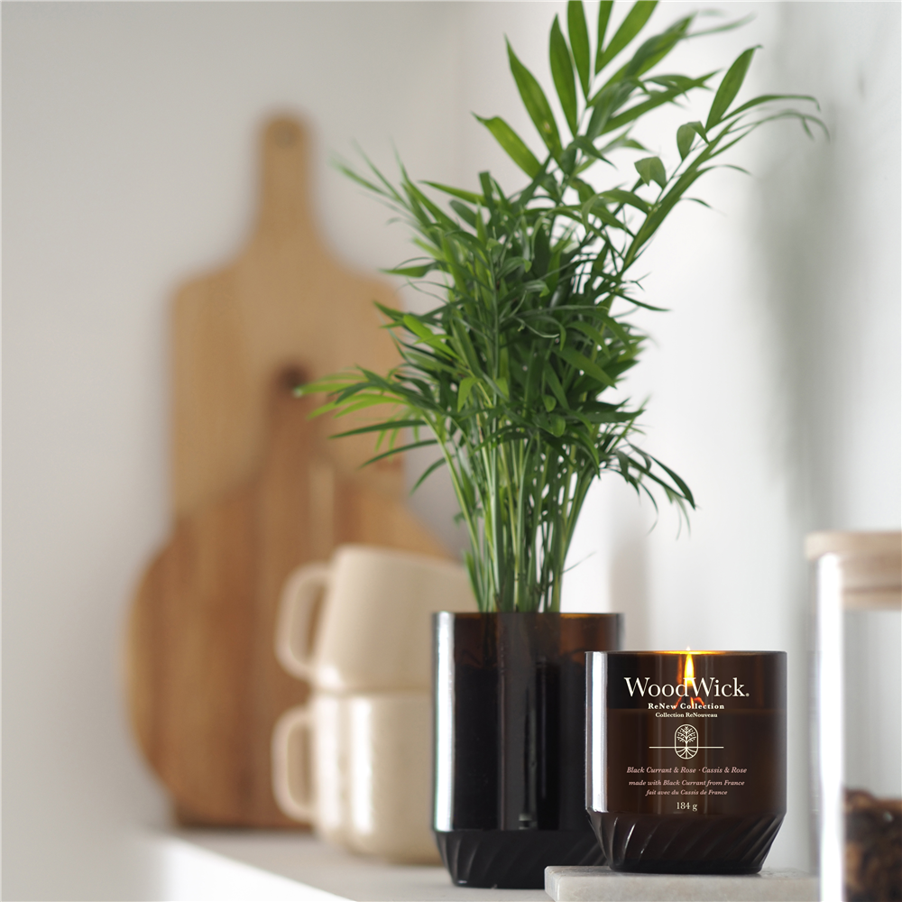 Black Currant & Rose ReNew Medium Jar – Image 2