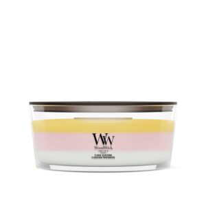 Floral Blossoms Trilogy Ellipse