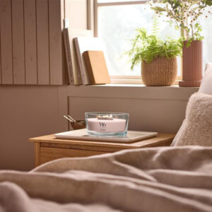 Alternative view of Coastal Sunberry Ellipse