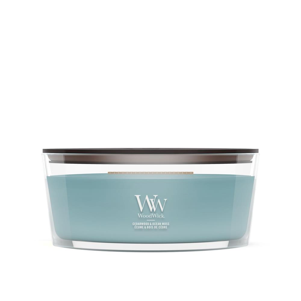 Cedarwood & Ocean Moss Ellipse