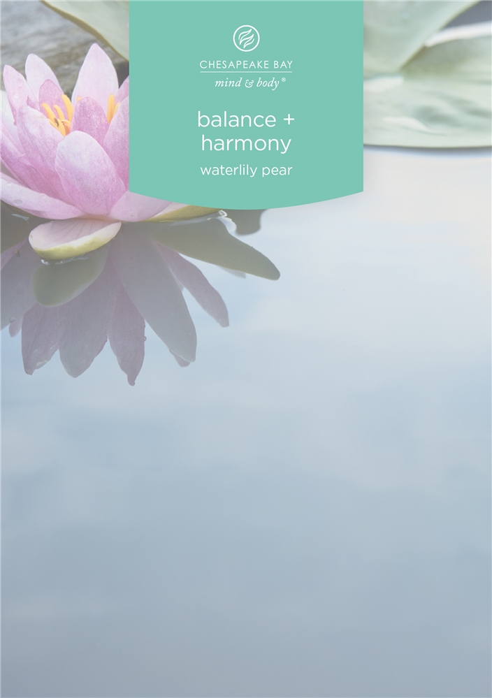 Balance & Harmony Small Tumbler – Image 3
