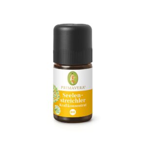 Concentré Pouvoir Soul Caresser bio