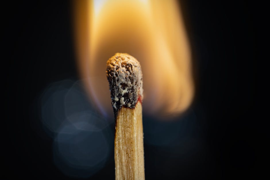 Woodwick — image d'illustration premium